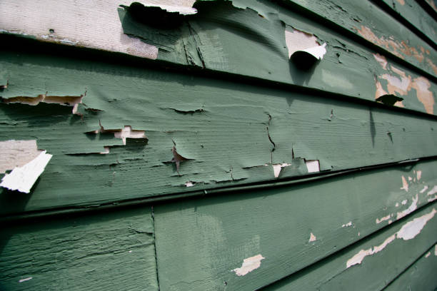 Best Junk Removal for Events  in Trabuco Nyon, CA